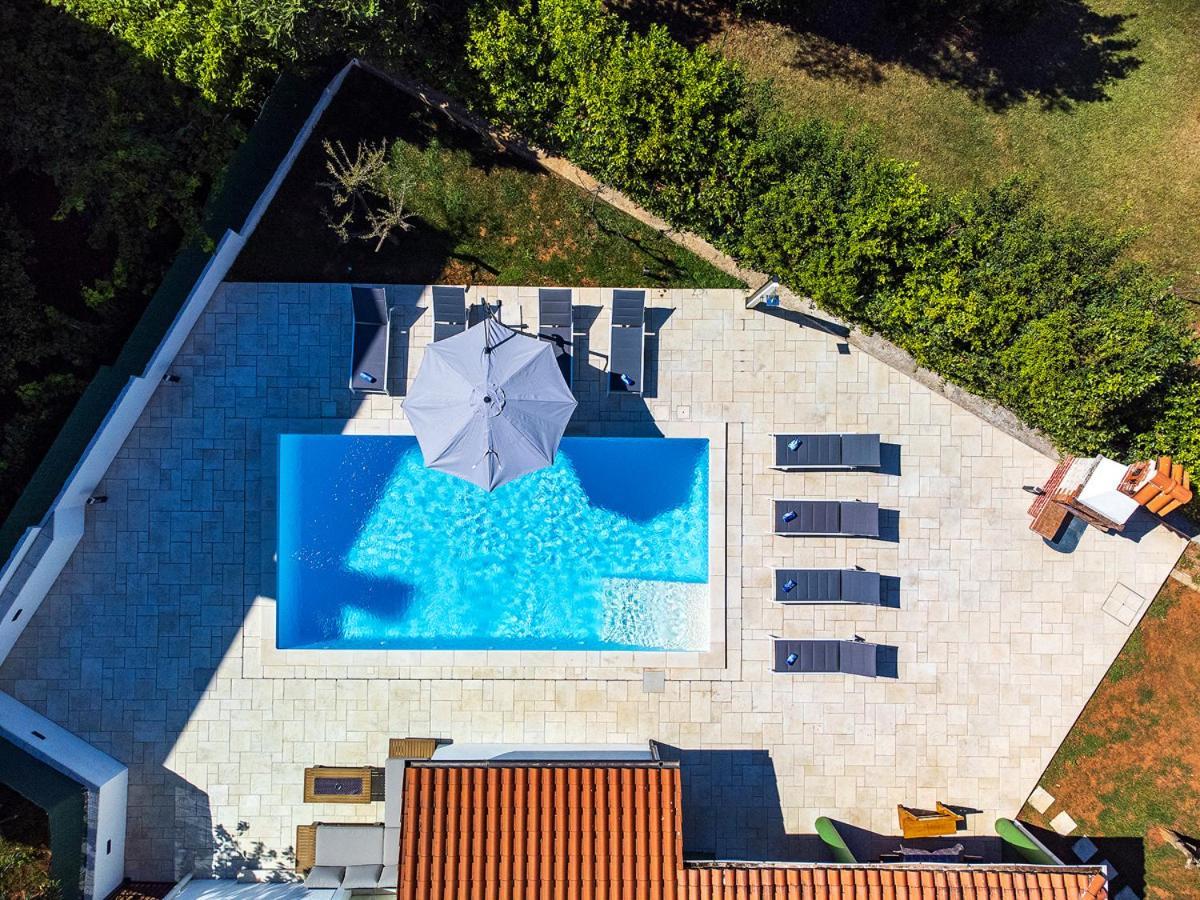 Big Swimming Pool Apartment Monvidal بولا المظهر الخارجي الصورة